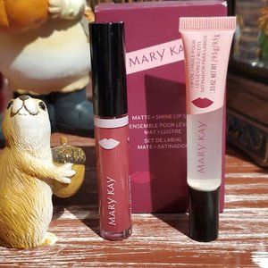 Rose Pink Matte + Shine Lip Set - Limited Edition Mary Kay